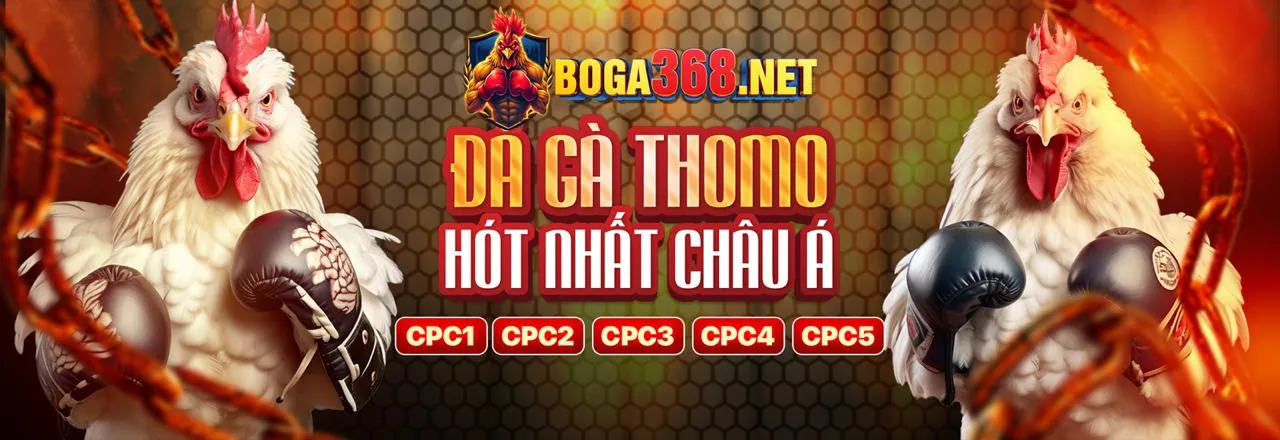 Hình ảnh hero các ưu đãi hấp dẫn tại SP666 Nhà Cái